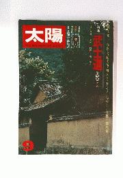 太陽THESUN,MONTHLYDELUXE　9
