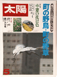 太陽　5　町の野鳥・画の野草