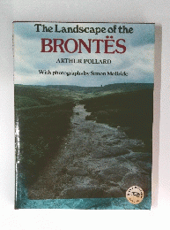 The Landscape of the BRONTES
