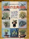 趣味の古典植物