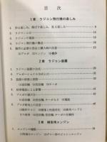 ラジコン飛行機入門