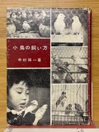 小鳥の飼い方