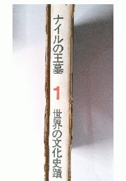 ナイルの王墓1世界の文化史蹟