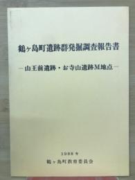 鶴ヶ島町遺跡群発掘調査報告書