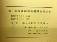 鶴ヶ島町遺跡群発掘調査報告書