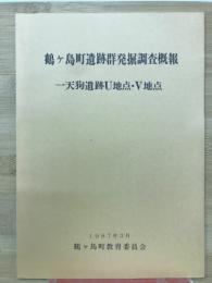 鶴ヶ島町遺跡群発掘調査概報