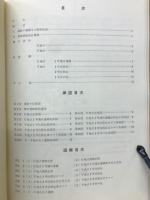 鶴ヶ島町遺跡群発掘調査概報