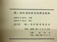 鶴ヶ島町遺跡群発掘調査概報