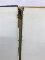 漢洋病名対照録