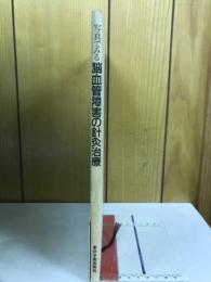写真でみる脳血管障害の針灸治療 : 「醒脳開竅法」の理論と実際