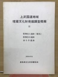 上武国道地域 埋蔵文化財発掘調査概報 III