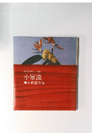 IKEBANA　graphic　小原流