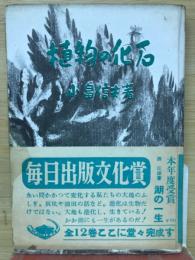 植物の化石