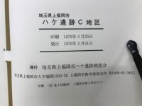 ハケ遺跡C地区
