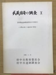 武蔵国府の調査X　国府関連遺跡調查昭和54年度概報3