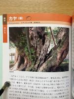 名古屋城の自然・樹木と薬草編