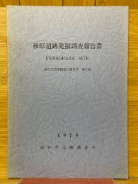 後原遺跡発掘調査報告書