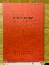 恋ヶ窪遺跡調査報告6　日立中央研究所研究棟・食堂・プール更衣室建設工事に伴う調査