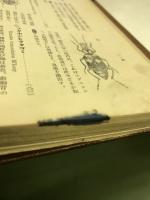 日本昆虫大図鑑