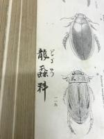 日本昆虫大図鑑