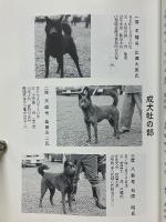 甲斐犬　平成9年号　第94号