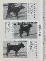 甲斐犬　平成10年　第96号