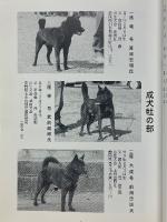 甲斐犬　平成11年　第98号