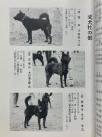甲斐犬　平成12年　第99号