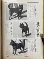 甲斐犬会報　平成3年号　第81号