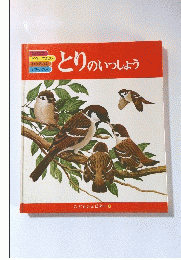 とりのいっしょう　こどもジュピター6