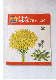 はなのいっしょう　こどもジュピター8