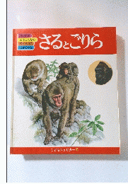 さるとごりら　こどもジュピター2