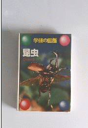 昆虫