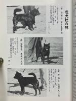 甲斐犬　平成13年　第102号