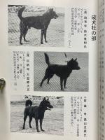 甲斐犬　平成17年　第109号