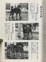 甲斐犬　平成16年　第108号
