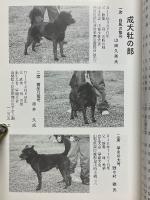 甲斐犬　平成14年　第103号