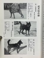 甲斐犬　平成14年　第104号