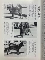 甲斐犬　平成15年　第105号