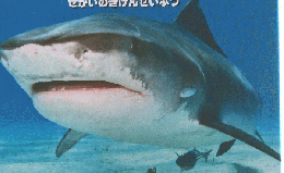 世界の危険生物　せかいのきけんせいぶつ