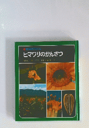 ヒマワリのかんさつ