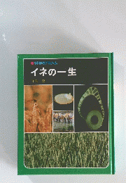 科学のアルバム　イネの一生