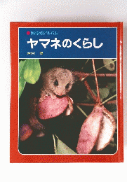ヤマネのくらし