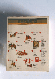日本の歴史:10