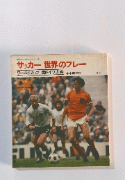 サッカー世界のプレー