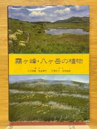 霧ヶ峰・八ヶ岳の植物