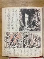 少年王者