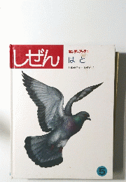 しぜん　5