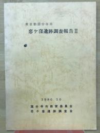 恋ヶ窪遺跡II