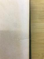 現代人の日蓮聖人伝